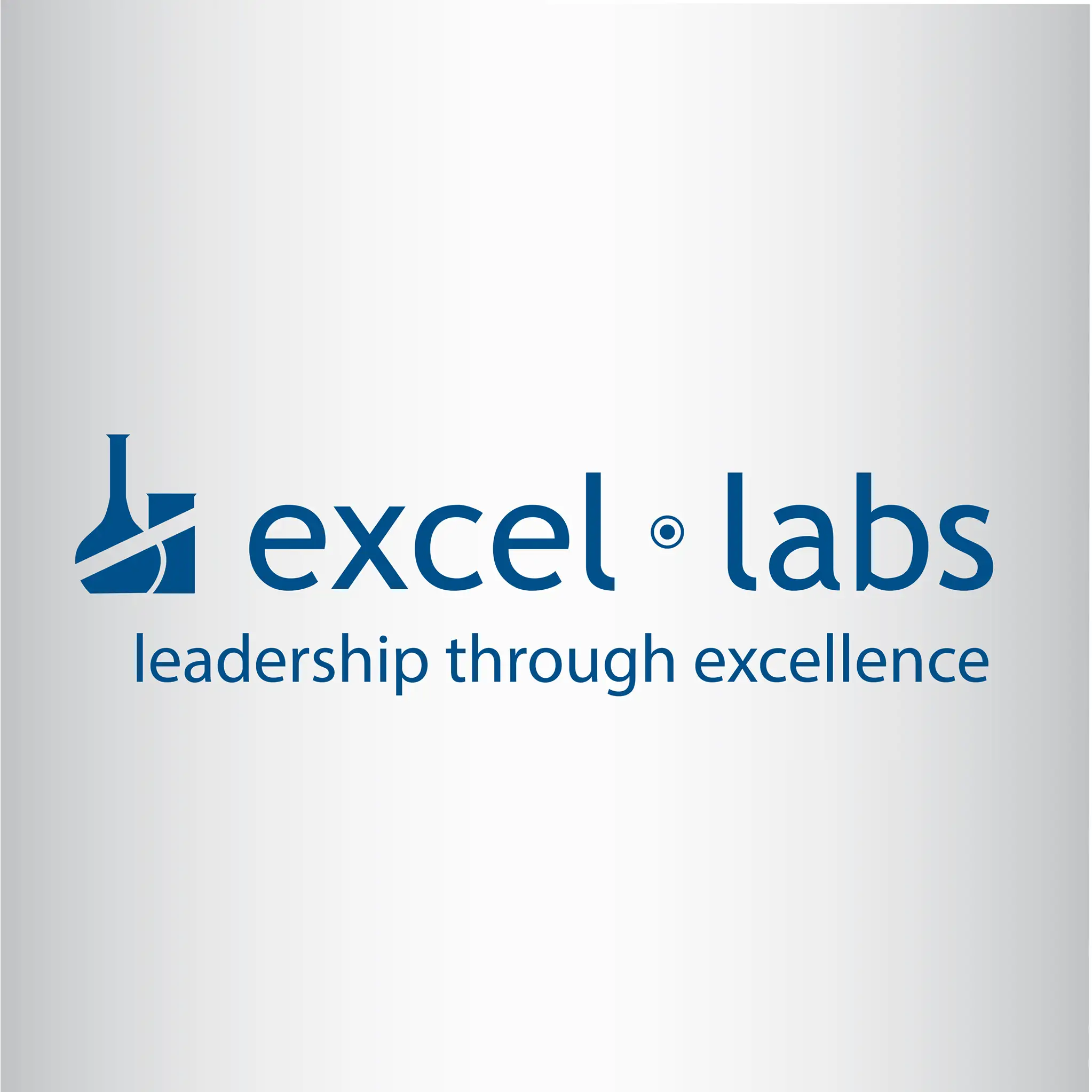 Profile Picture of Excel Labs